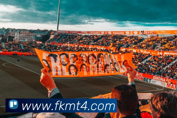 必一·运动(B - sports)官方网站平台生态图