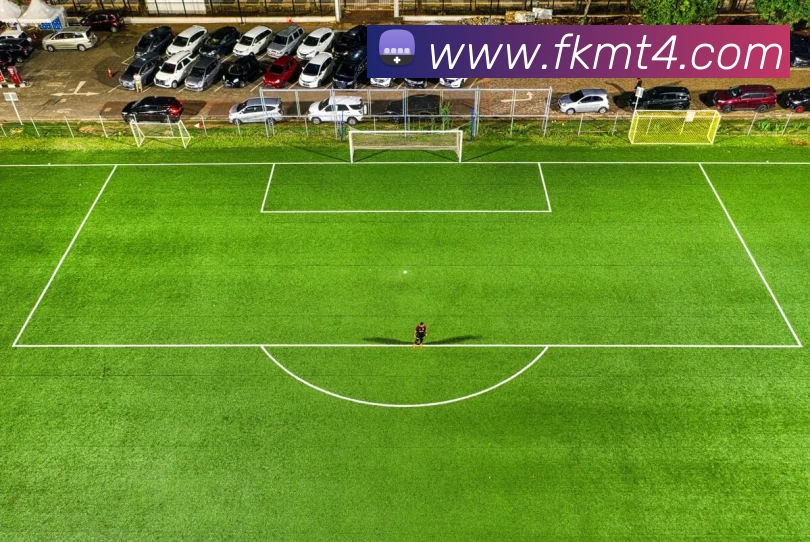 数据防护可视化